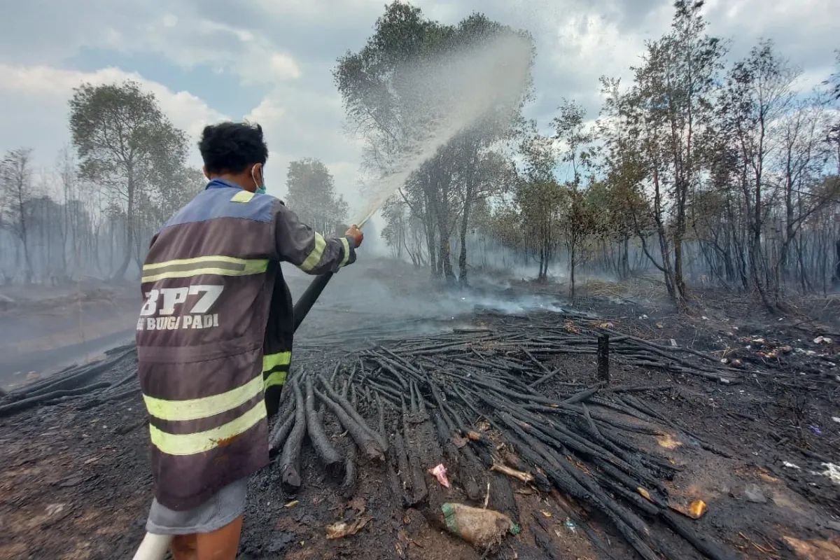 Seorang petugas sedang menyiramkan air di lahan gambut yang terbakar di Kalimantan