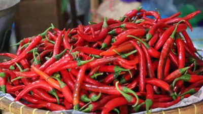 Data Bapanas: Harga Cabai Awal Ramadan 2026 Lampaui Target