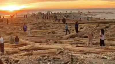 Polemik Kayu Gelondongan Sumut: Tantangan Kebijakan Publik dalam Pengelolaan Hutan dan Mitigasi Bencana