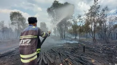 Anggota Parlemen Malaysia Bicara Bahasa Jawa soal Asap Karhutla