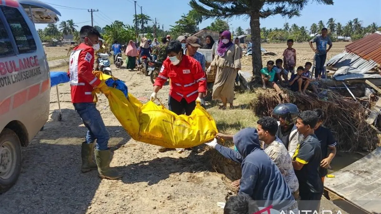 Evakuasi Korban Banjir oleh BNPB - dok Ist