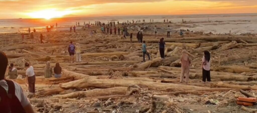Kayu Gelondongan di Banjir Sumatera