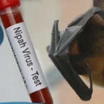 Cegah Virus Nipah: Cara Lindungi Diri dari Infeksi Maut