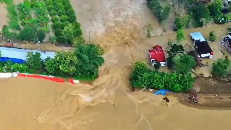 Laporan Kebijakan Publik: Evaluasi Krisis Tanggul Sungai Tuntang Demak